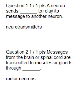 Quiz 3